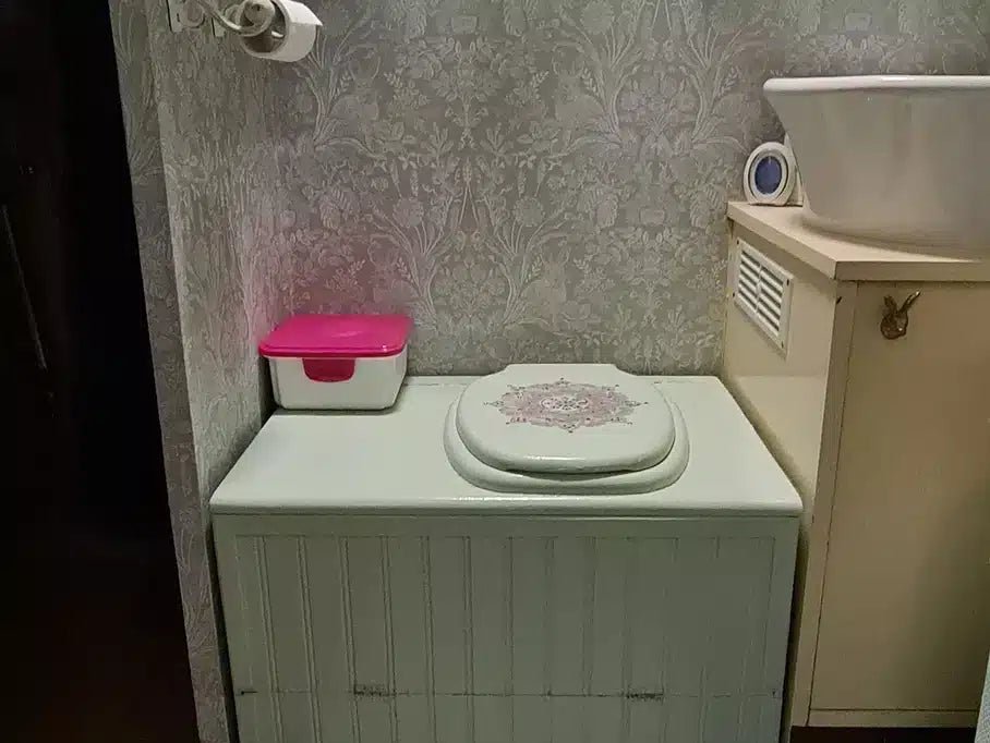 Time to Upgrade my Loo - Compo Closet UK